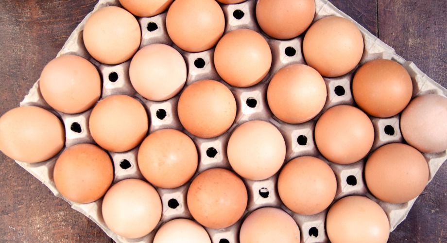For decades, vaccine manufacturers have made the flu vaccine by injecting influenza into chicken eggs. This is a relatively cheap way to allow the virus to replicate, but it comes with drawbacks. (Photo courtesy of Scripps Research)