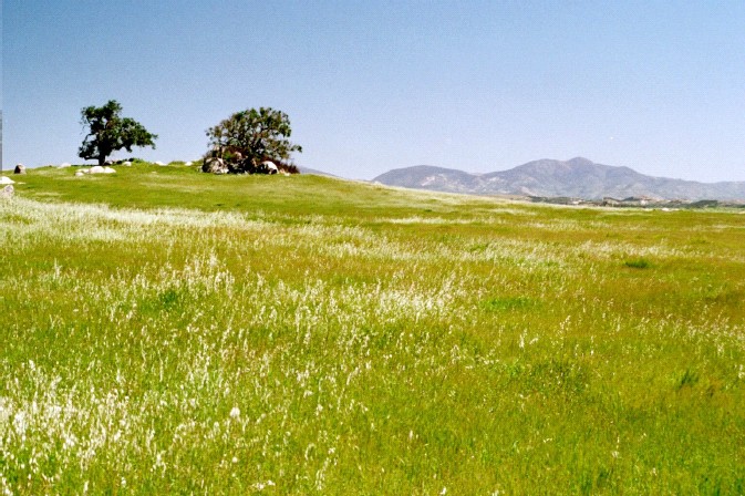 Ramona Grasslands