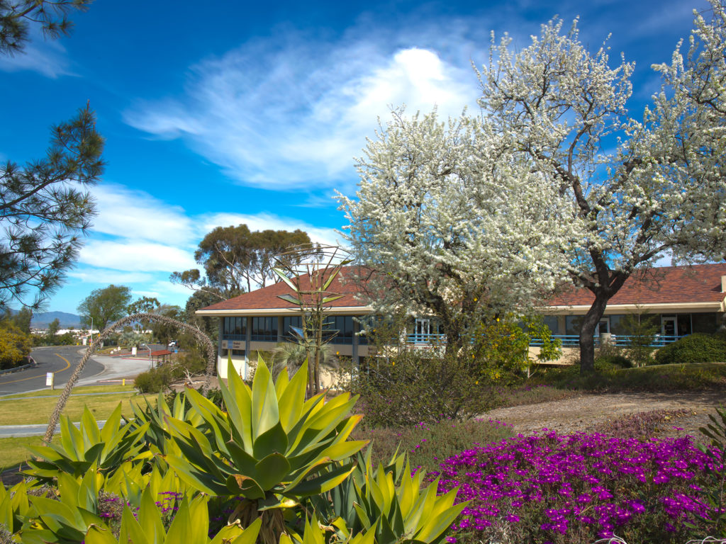 Oceanside campus of MiraCosta College.