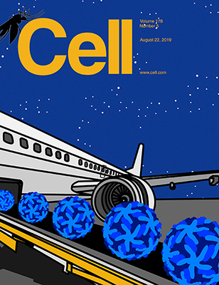 Cell cover