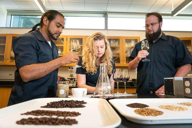 At San Diego Mesa College, students in the Fermentation Management program have the opportunity to study the business aspect of the industry.