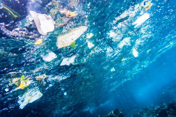 Plastic bags float in the ocean.