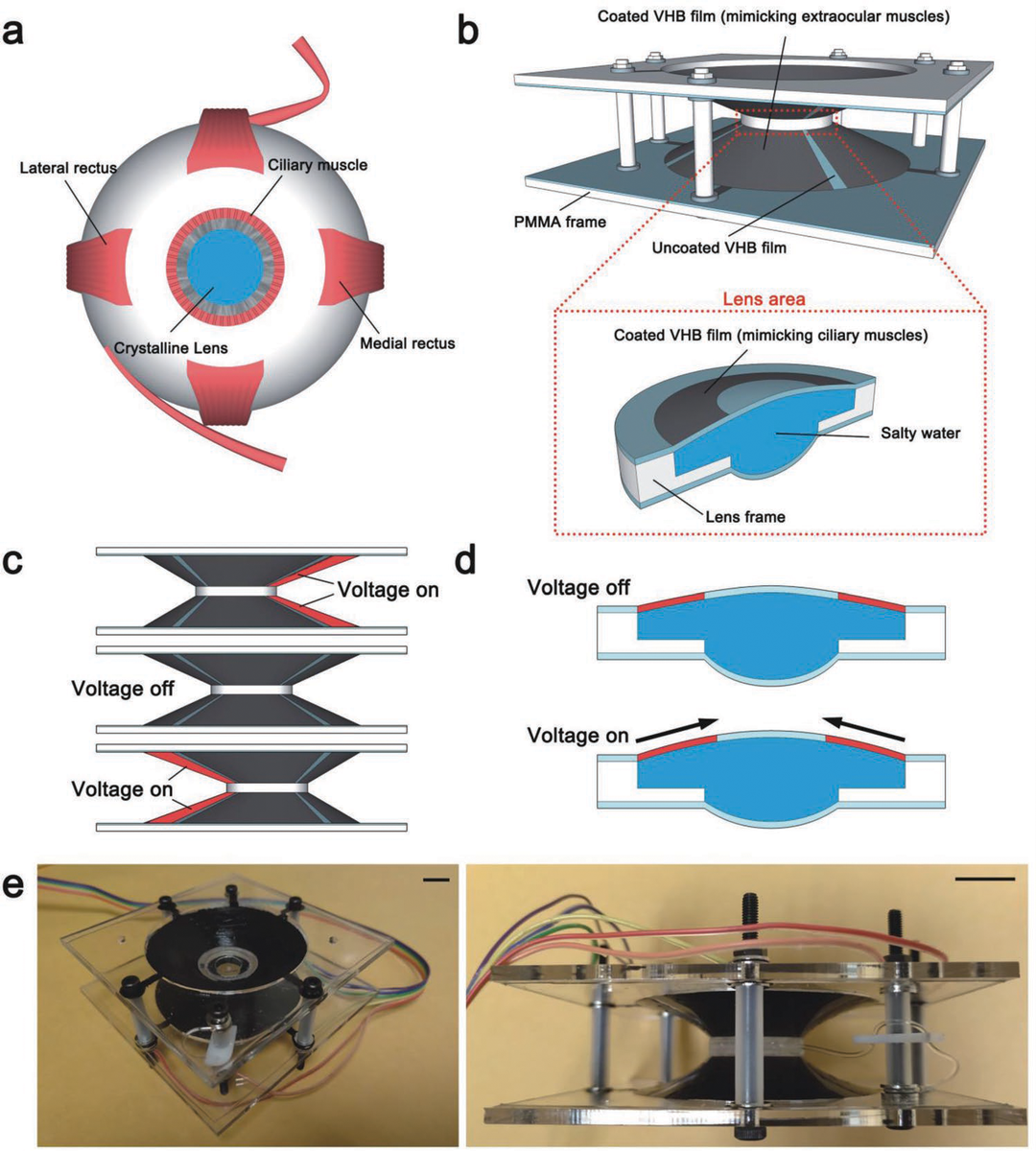 Illustration and photos of the soft robotic lens. (Courtesy of UC San Diego)