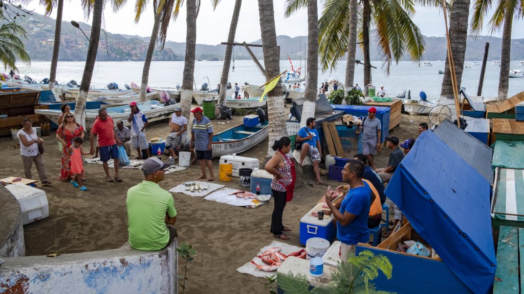 Bustling Paseo Del Pescador (Fisherman’s Promenade) is where daily catch is on display