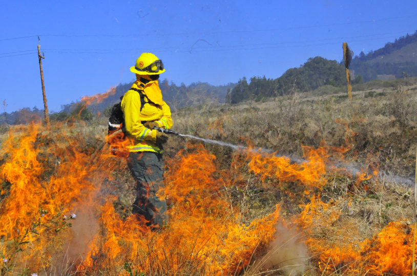 Fighting wildfire