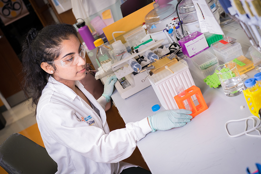 Pranjali Beri, UC San Diego bioengineering Ph.D. student and first author of the study, collecting different populations of cancer cells based on their stickiness. (Courtesy photo)