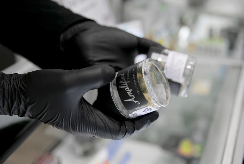 Jars of marijuana at a Berkeley dispensary on March 21. (Photo by Anne Wernikoff for CalMatters)