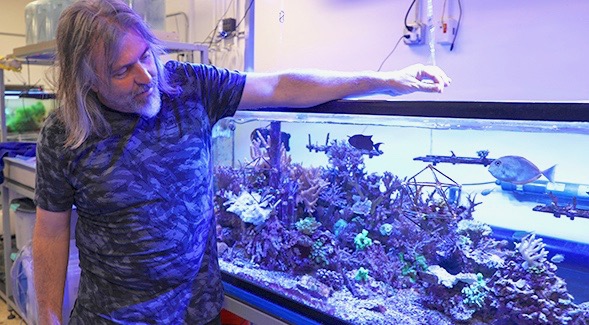 SDSU viral ecologist Forest Rohwer was chosen for a Moore Foundation award to research how coral reefs adapt to climate change. (Photo: Scott Hargrove )