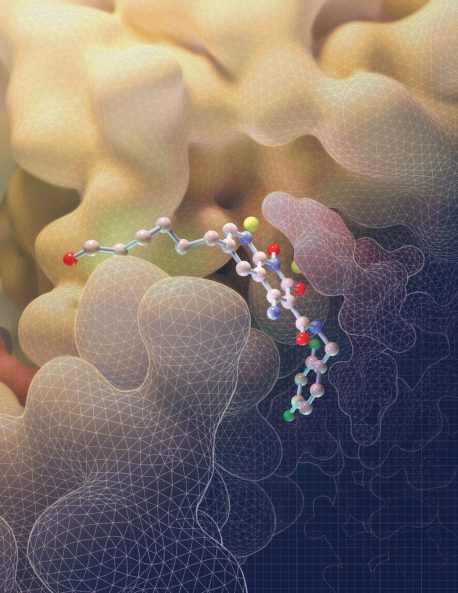 This illustration depicts the molecular structure of an HIV drug known as an INSTI binding to key sites on the intasome (yellow), the viral machine that allows HIV to invade cells. (Credit: Salk Institute)