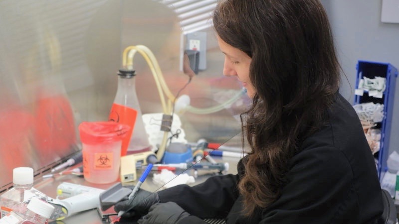 Laura Riva, a postdoctoral research fellow at Sanford Burnham Prebys Medical Discovery Institute, tests for compounds that may treat COVID-19. ( Photo courtesy of Sanford Burnham Prebys Medical Discovery Institute)