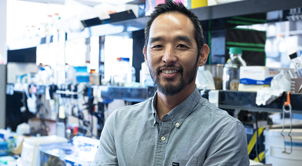 Microbiologist Nick Shikuma obtained a National Science Foundation Career Award to further advance his research on a beneficial bacterium that causes metamorphosis. (Photo: Scott Hargrove)