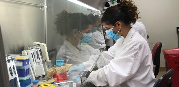 Alba Grifoni, an instructor in the Sette lab and the study’s co-first author, tests the T cell response in blood samples collected from individuals who have recovered from COVID-19.(Image courtesy of La Jolla Institute for Immunology)