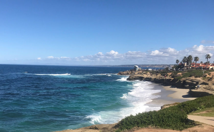 Beach in La Jolla