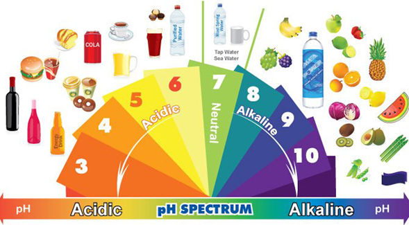 Diets higher in acidic foods such as meats and certain cheese can increase the risk for cancer survivors, especially if they smoked. (Image credit: Alkalife.com)