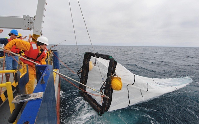 The new Cooperative Institute for Marine, Earth, and Atmospheric Systems will support sustained observation programs, including California Cooperative Oceanic Fisheries Investigations. (Photo courtesy of UC San Diego)
