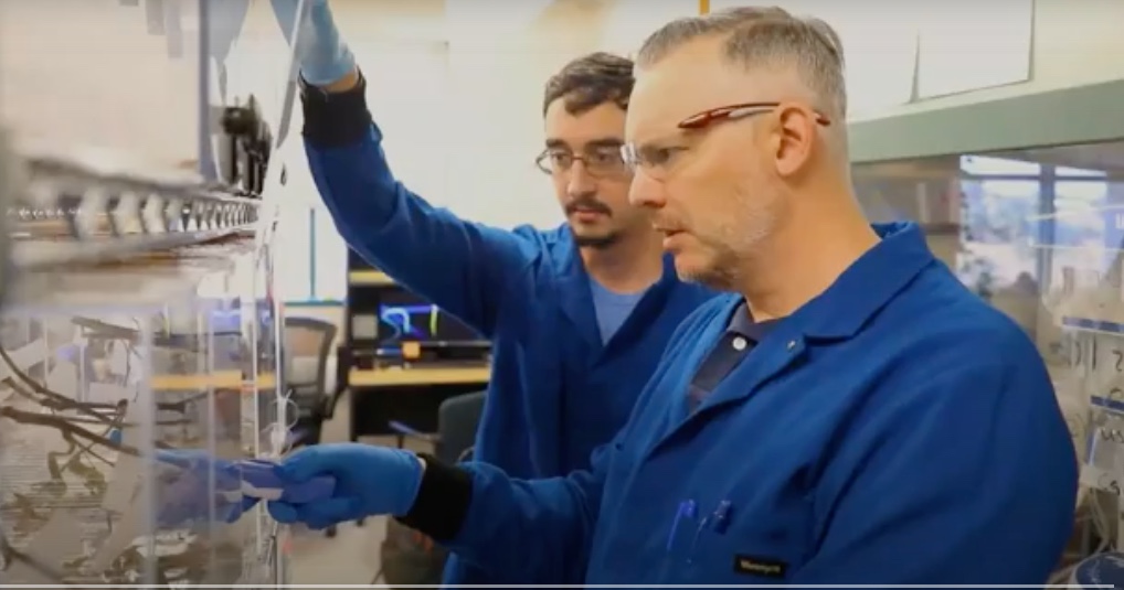 Associate Professor Gregory Holland in his SDSU laboratory. (Frame from a SDSU video)