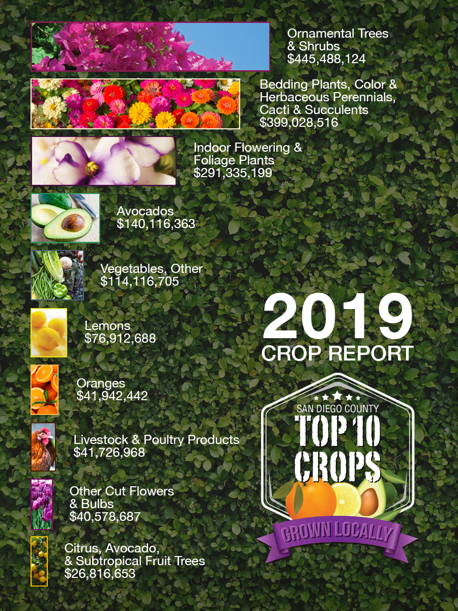 Top 10 Crops