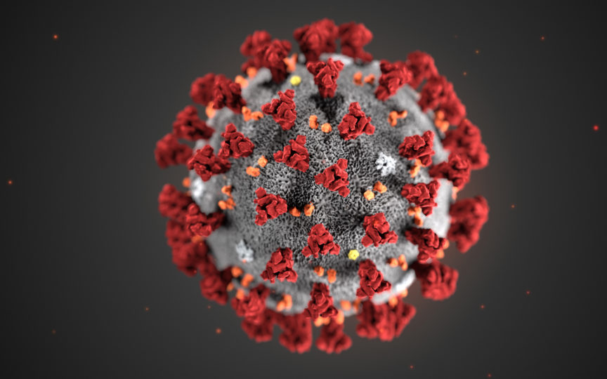 llustration of 2019 novel coronavirus. (Image credit: CDC)