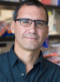 Associate Professor Maximiliano D’Angelo