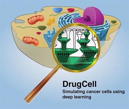 (Illustration: Experimental artificial intelligence system DrugCell predicts the best drugs to use against a tumor.)