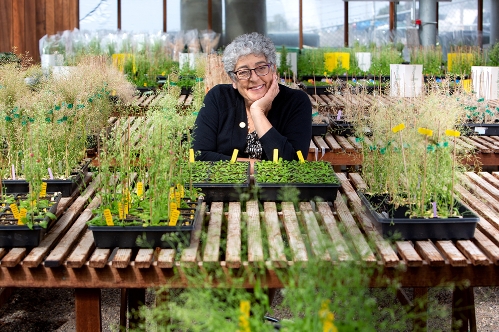 Joanne Chory is the director of the Plant Molecular and Cellular Biology Laboratory at The Salk Institute. (Photo courtesy of The Salk Institute)