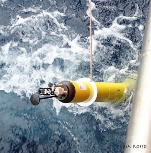 A biogeochemical float deployed by the Southern Ocean Carbon and Climate Observations and Modeling program in 2017. (Photo: Isa Rosso)