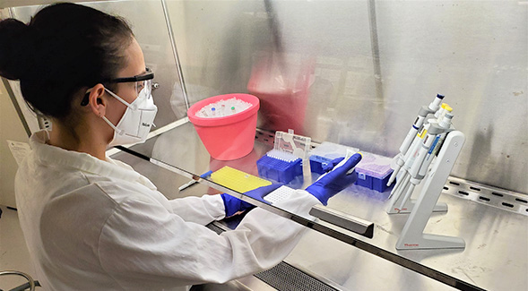 Maria-Isabel Rojas processes an environmental swab sample for SARS-CoV-2.