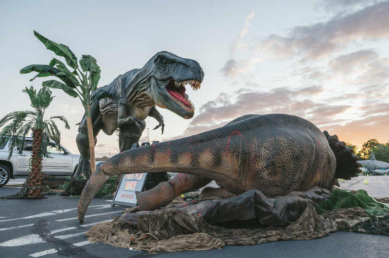 Image from the dinosaur exhibit.