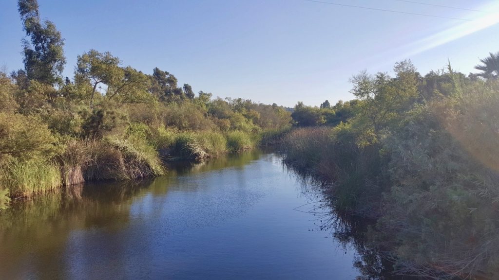 San Dieguito River at future site of bridge (Photo by SDRVC)