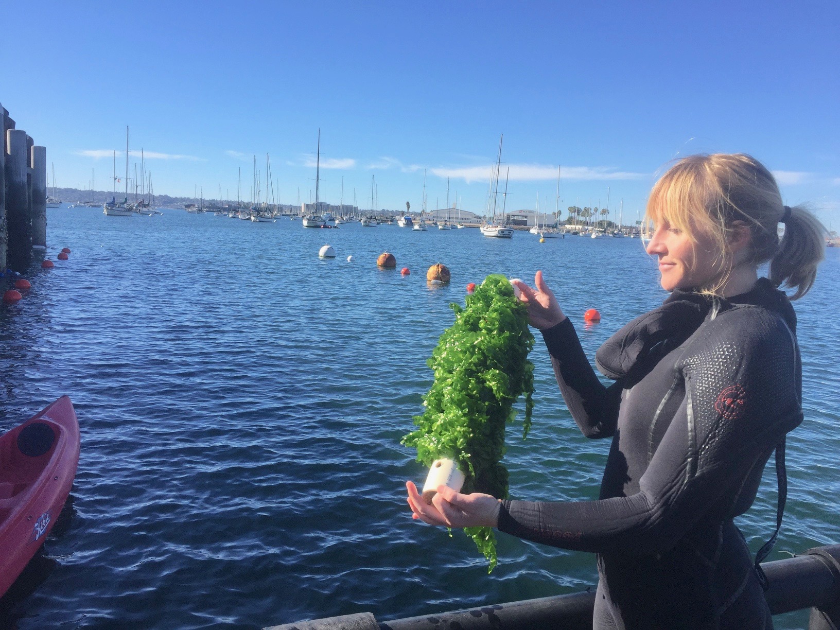 Leslie Booher with Sunken Seaweed shows off farmed seaweed grown in San Diego Bay.
