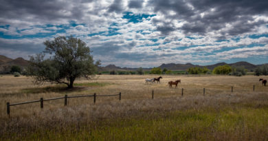 wyoming