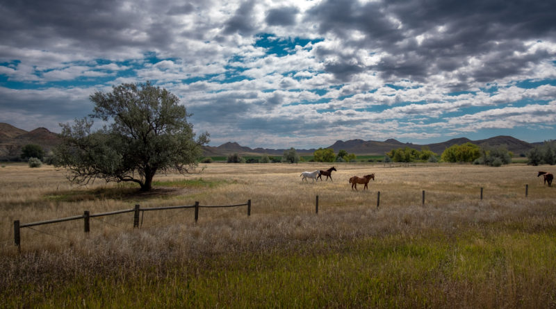 wyoming